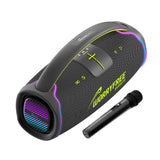 WorryFree WA65 300W Speaker With Handle And Microphone - Gray